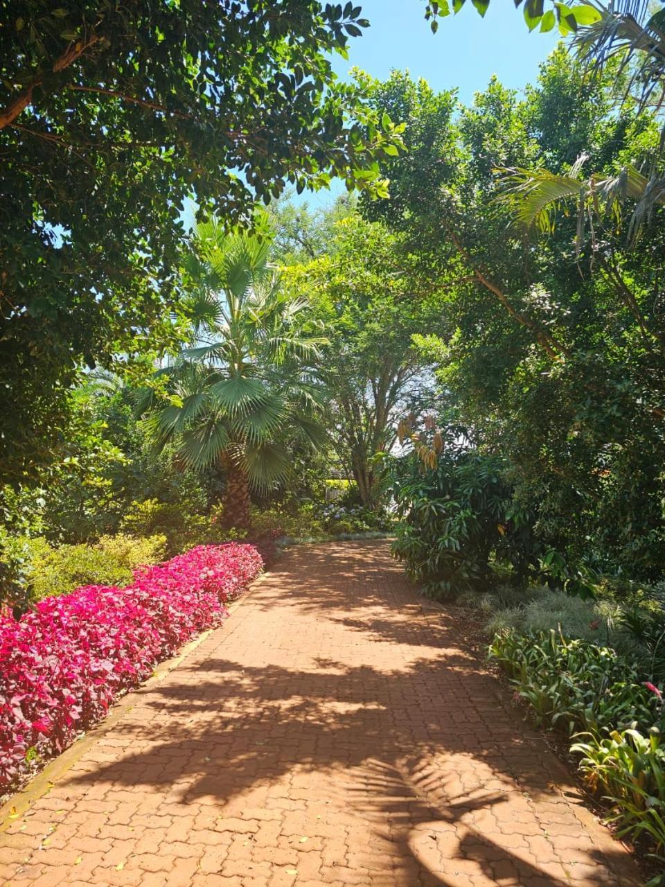 Tzaneen White House Lodge المظهر الخارجي الصورة