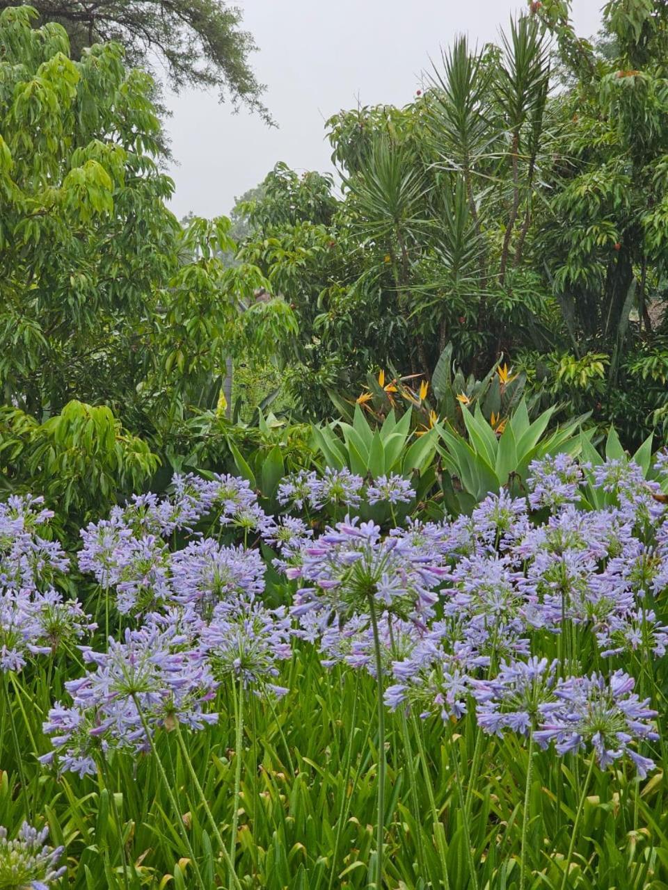 Tzaneen White House Lodge المظهر الخارجي الصورة